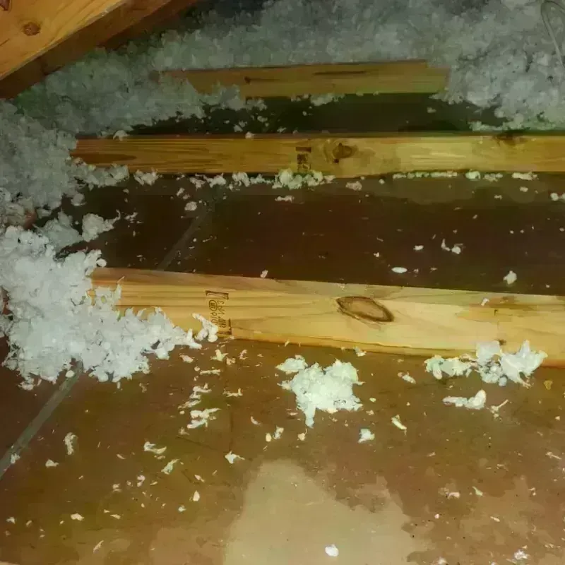 Attic Water Damage in Osawatomie, KS